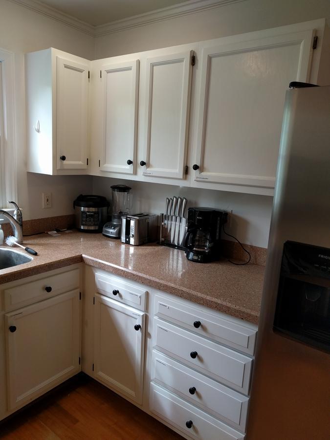 University City Guest House Charlotte Esterno foto